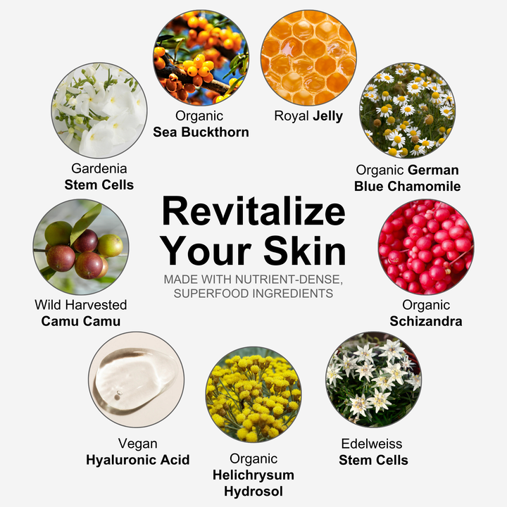 The Night Cream Travel Pack