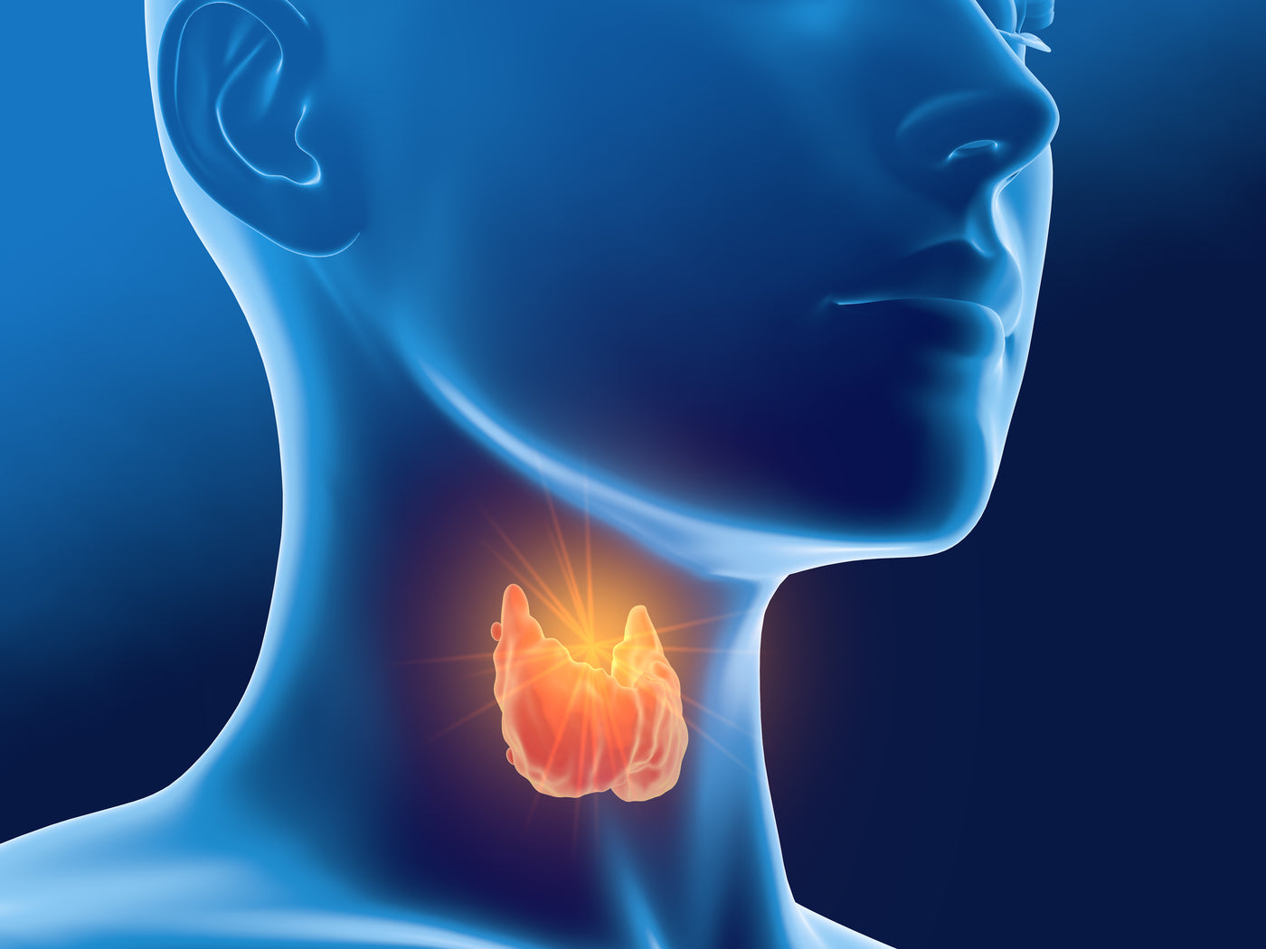 The Thyroid-Skin Connection: How Your Thyroid Affects Skin Health
