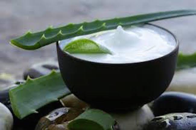 The Beauty Benefits of Aloe Vera