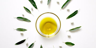 The Most Medicinal Must-Have Plant Oils & Essential Oils for Healthy Skin Care